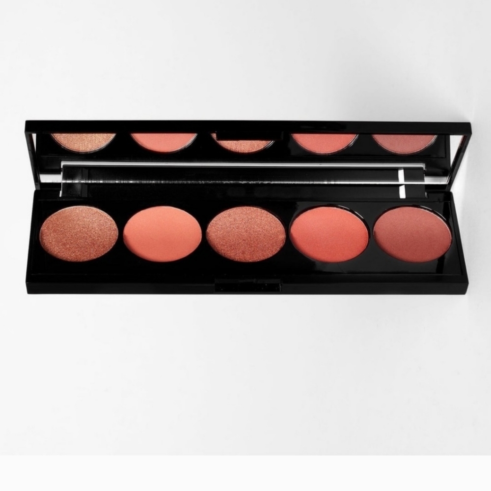 Laritzy eyeshadow pallette in Burnt NIB